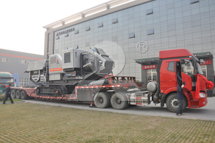 mineral processing live working equipments